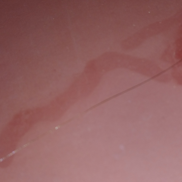 Coach Berry Mollie Bucket Crossbody Bag - Picture 8 of 8